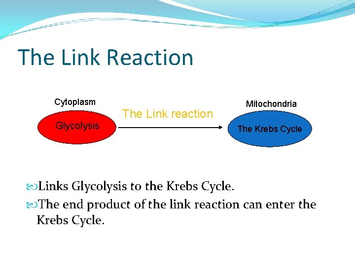 The Link Reaction Cytoplasm Glycolysis The Link reaction Mitochondria The Krebs Cycle Links Glycolysis