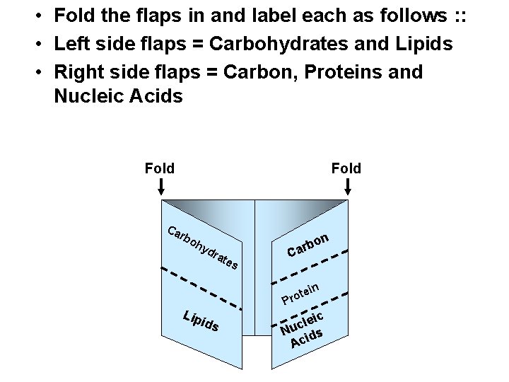  • Fold the flaps in and label each as follows : : •