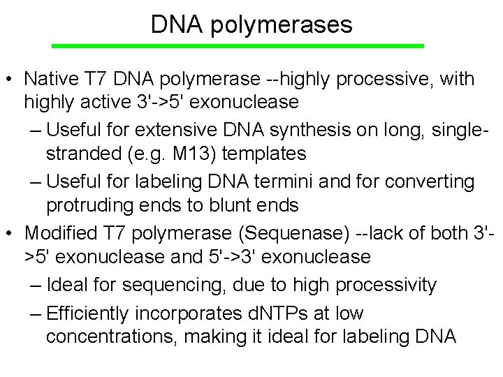 DNA polymerases • Native T 7 DNA polymerase --highly processive, with highly active 3'->5'
