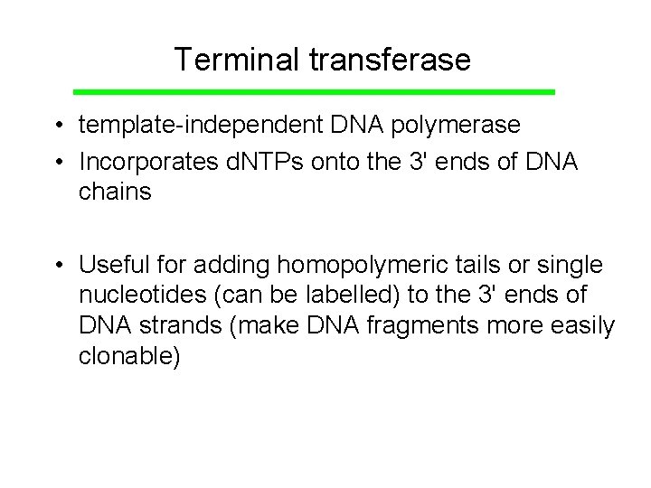 Terminal transferase • template-independent DNA polymerase • Incorporates d. NTPs onto the 3' ends