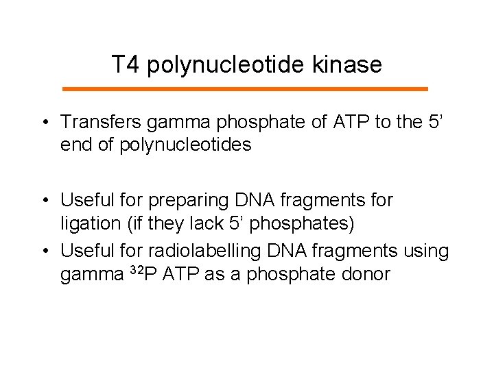 T 4 polynucleotide kinase • Transfers gamma phosphate of ATP to the 5’ end