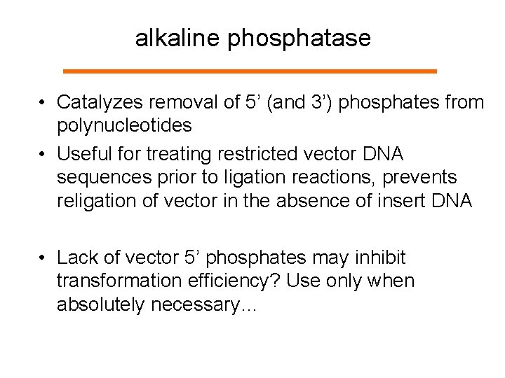 alkaline phosphatase • Catalyzes removal of 5’ (and 3’) phosphates from polynucleotides • Useful