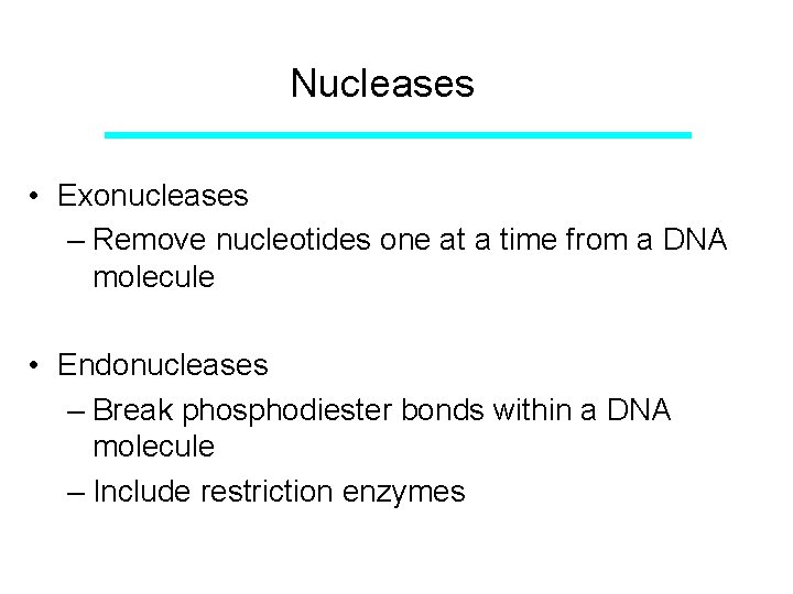 Nucleases • Exonucleases – Remove nucleotides one at a time from a DNA molecule