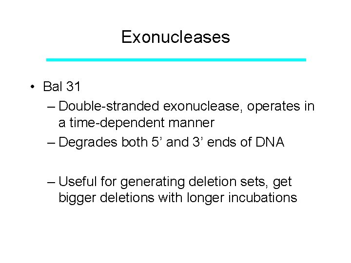 Exonucleases • Bal 31 – Double-stranded exonuclease, operates in a time-dependent manner – Degrades