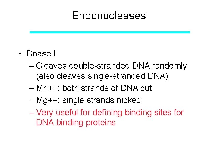 Endonucleases • Dnase I – Cleaves double-stranded DNA randomly (also cleaves single-stranded DNA) –