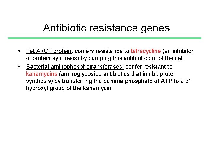 Antibiotic resistance genes • Tet A (C ) protein: confers resistance to tetracycline (an