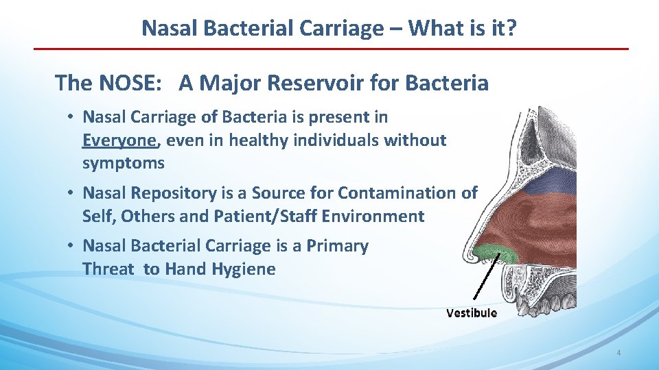 Nasal Bacterial Carriage – What is it? The NOSE: A Major Reservoir for Bacteria