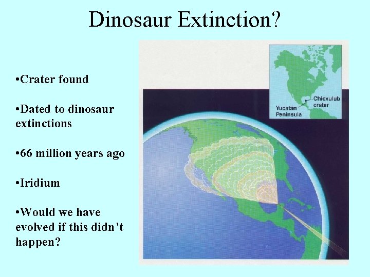 Dinosaur Extinction? • Crater found • Dated to dinosaur extinctions • 66 million years