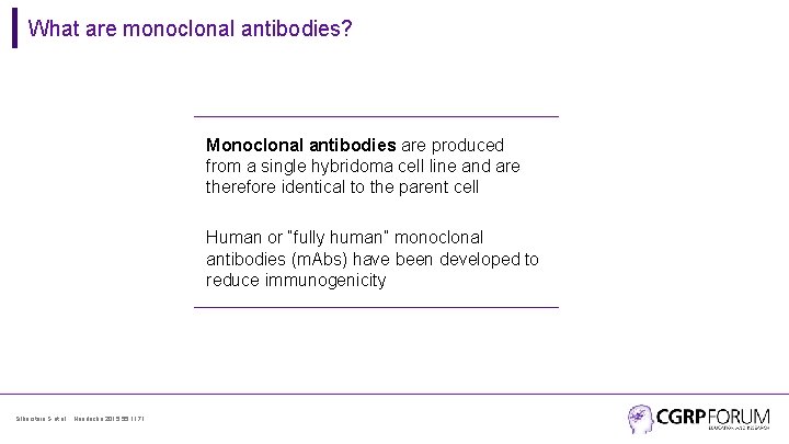 What are monoclonal antibodies? Monoclonal antibodies are produced from a single hybridoma cell line