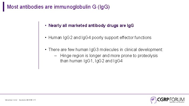 Most antibodies are immunoglobulin G (Ig. G) • Nearly all marketed antibody drugs are