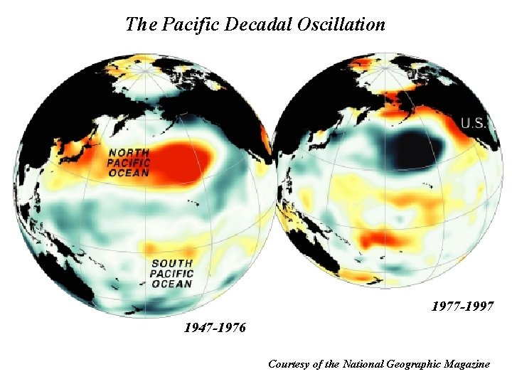 The Pacific Decadal Oscillation 1977 -1997 1947 -1976 Courtesy of the National Geographic Magazine