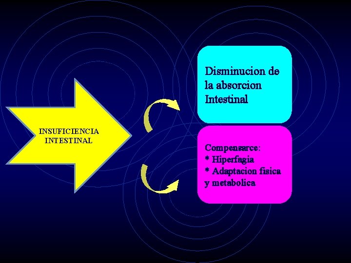 Disminucion de la absorcion Intestinal INSUFICIENCIA INTESTINAL Compensarce: * Hiperfagia * Adaptacion fisica y