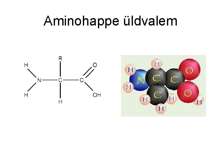 Aminohappe üldvalem 