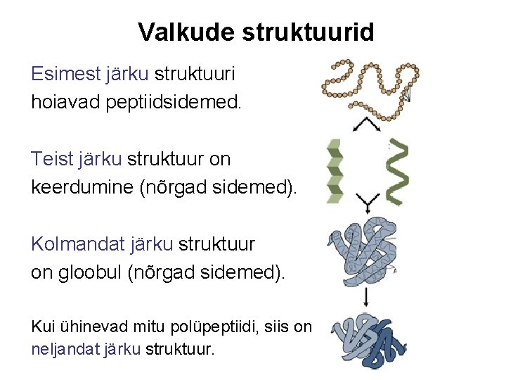 Valkude struktuurid Esimest järku struktuuri hoiavad peptiidsidemed. Teist järku struktuur on keerdumine (nõrgad sidemed).