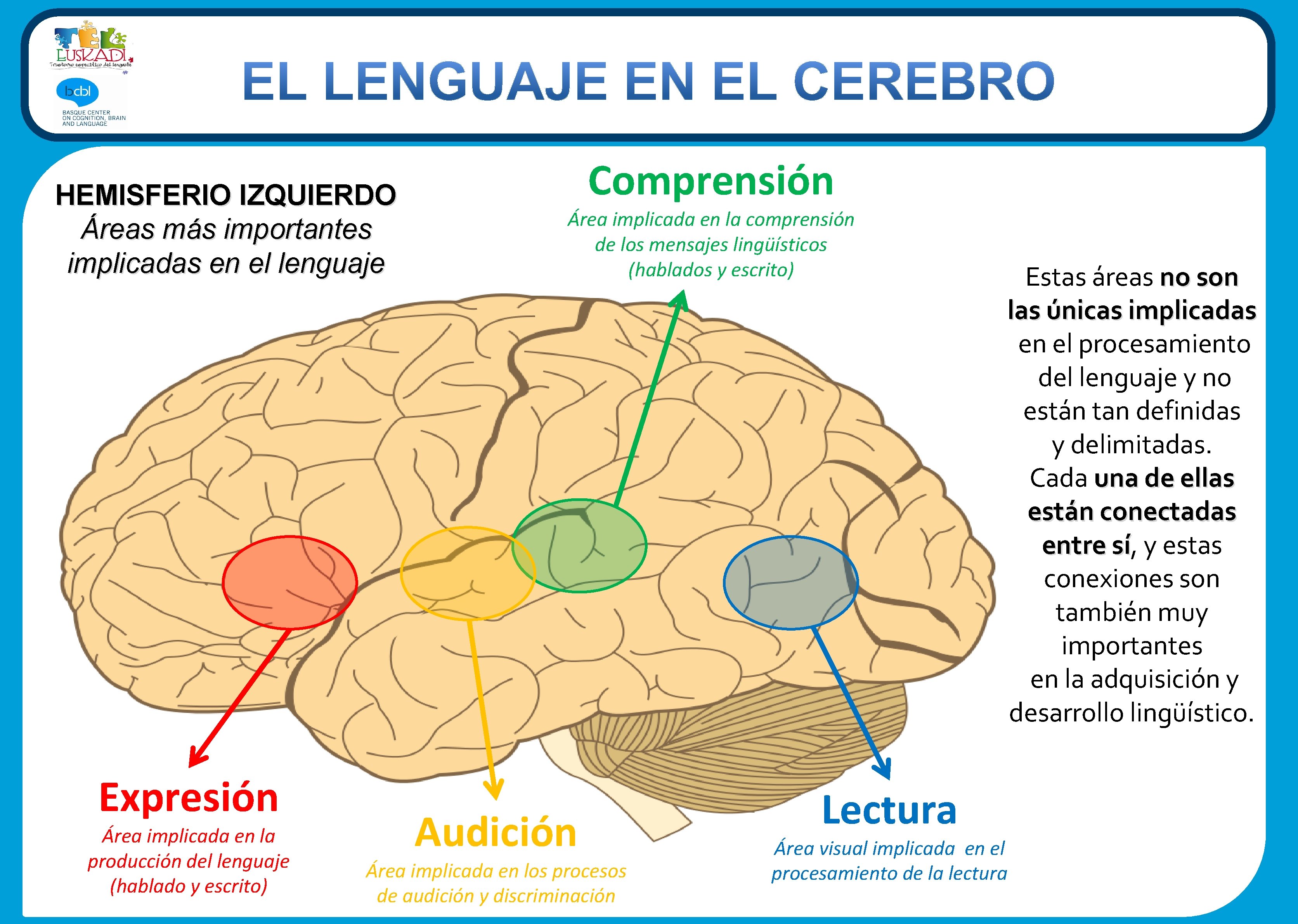 HEMISFERIO IZQUIERDO Áreas más importantes implicadas en el lenguaje Expresión Área implicada en la