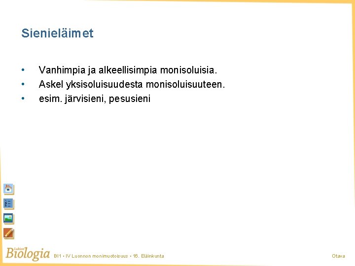 Sienieläimet • • • Vanhimpia ja alkeellisimpia monisoluisia. Askel yksisoluisuudesta monisoluisuuteen. esim. järvisieni, pesusieni Sienieläimet • • • Vanhimpia ja alkeellisimpia monisoluisia. Askel yksisoluisuudesta monisoluisuuteen. esim. järvisieni, pesusieni