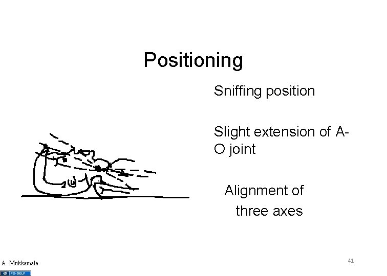 Positioning • Sniffing position • Slight extension of AO joint Alignment of three axes