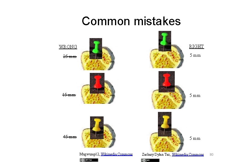 Common mistakes RIGHT WRONG 25 mm 15 mm 45 mm Mugwump 12, Wikimedia Commons