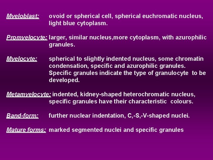 Myeloblast: ovoid or spherical cell, spherical euchromatic nucleus, light blue cytoplasm. Promyelocyte: larger, similar