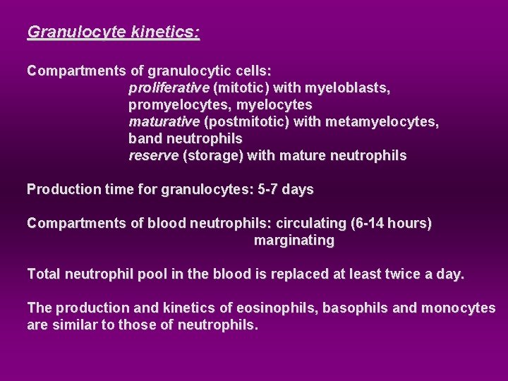 Granulocyte kinetics: Compartments of granulocytic cells: proliferative (mitotic) with myeloblasts, promyelocytes, myelocytes maturative (postmitotic)