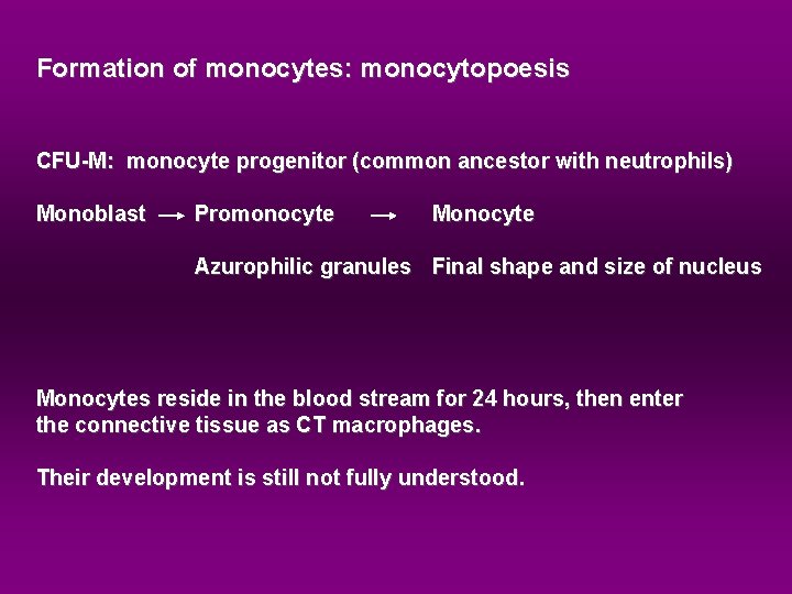 Formation of monocytes: monocytopoesis CFU-M: monocyte progenitor (common ancestor with neutrophils) Monoblast Promonocyte Monocyte