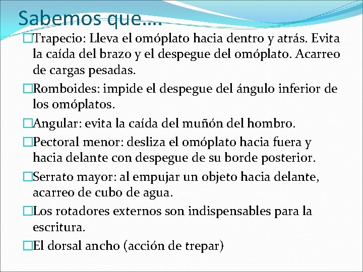 Sabemos que…. �Trapecio: Lleva el omóplato hacia dentro y atrás. Evita la caída del