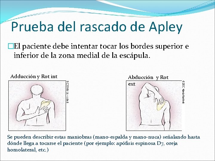 Prueba del rascado de Apley �El paciente debe intentar tocar los bordes superior e