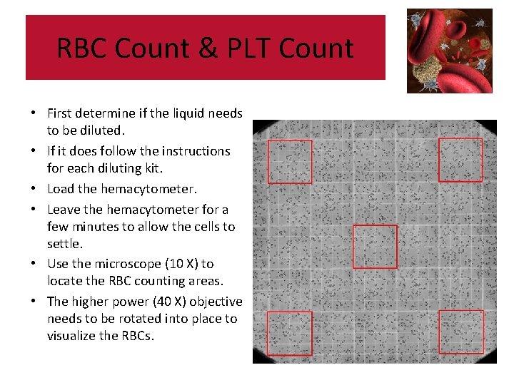 RBC Count & PLT Count • First determine if the liquid needs to be