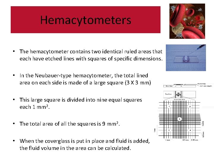 Hemacytometers • The hemacytometer contains two identical ruled areas that each have etched lines