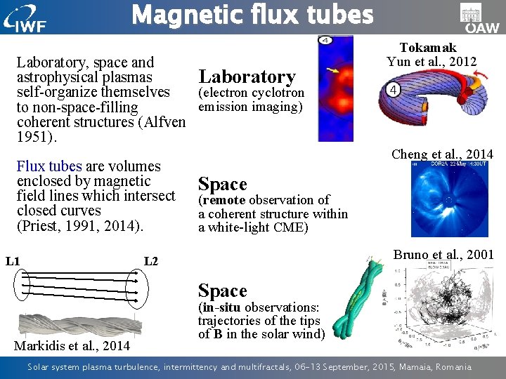 Magnetic flux tubes Laboratory, space and astrophysical plasmas Laboratory (electron cyclotron self-organize themselves emission