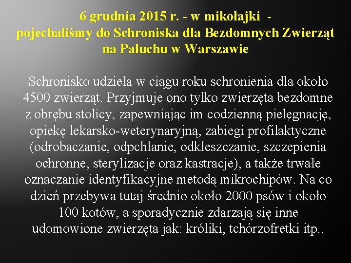 6 grudnia 2015 r. - w mikołajki pojechaliśmy do Schroniska dla Bezdomnych Zwierząt na