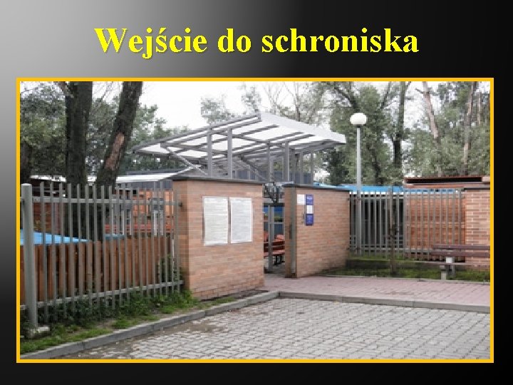 Wejście do schroniska 