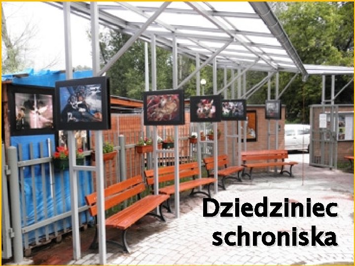 Dziedziniec schroniska 