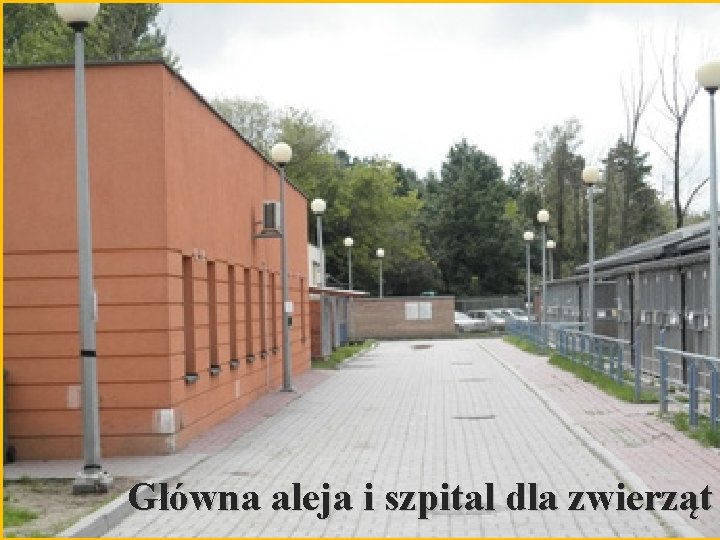 Główna aleja i szpital dla zwierząt 