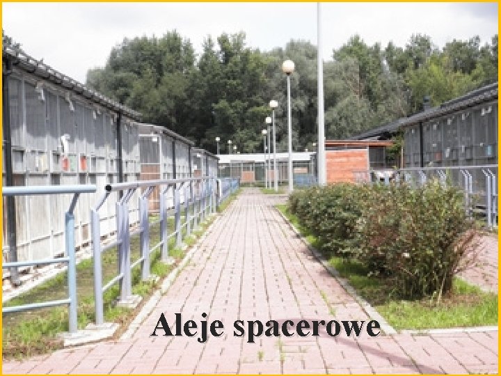 Aleje spacerowe 