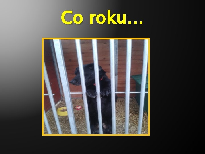 Co roku… 