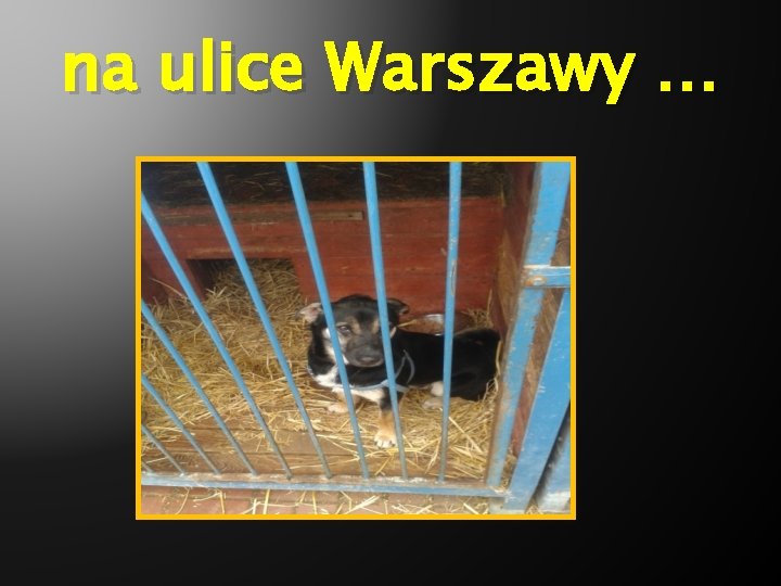 na ulice Warszawy … 