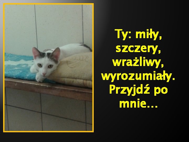 Ty: miły, szczery, wrażliwy, wyrozumiały. Przyjdź po mnie… 