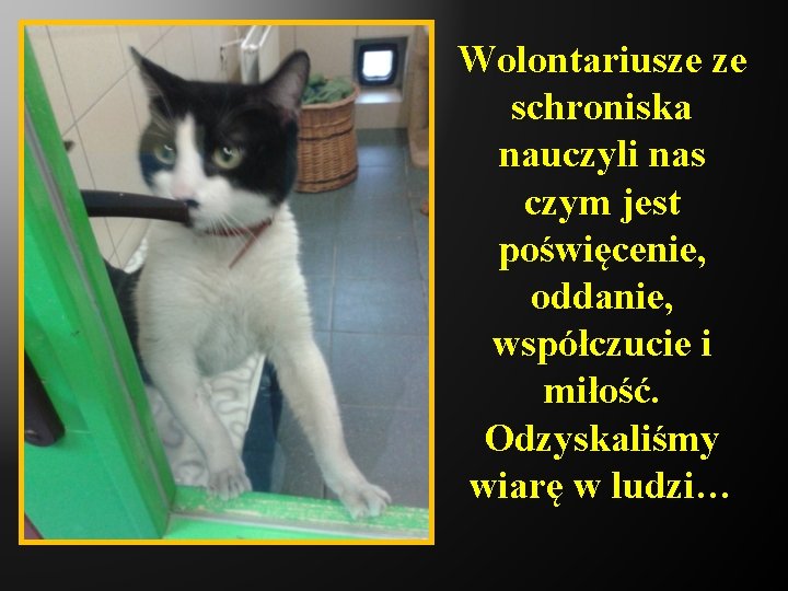 Wolontariusze ze schroniska nauczyli nas czym jest poświęcenie, oddanie, współczucie i miłość. Odzyskaliśmy wiarę