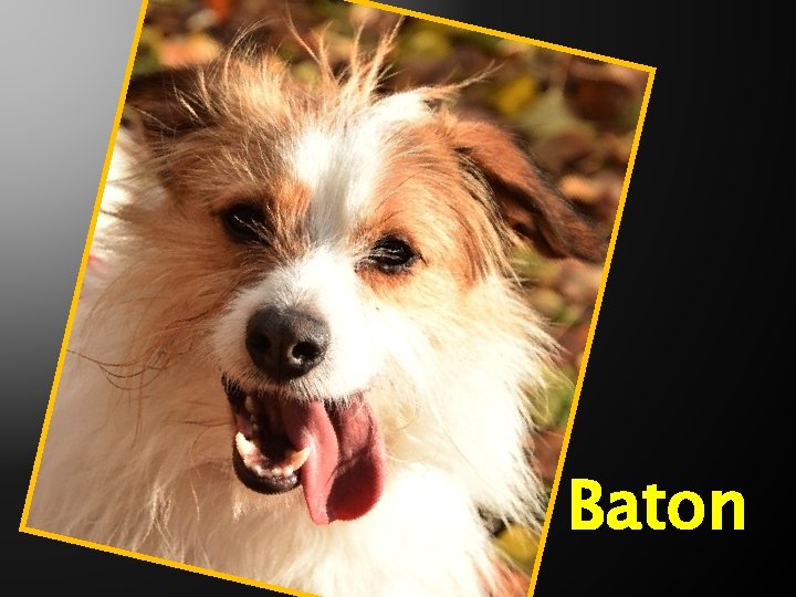 Baton 