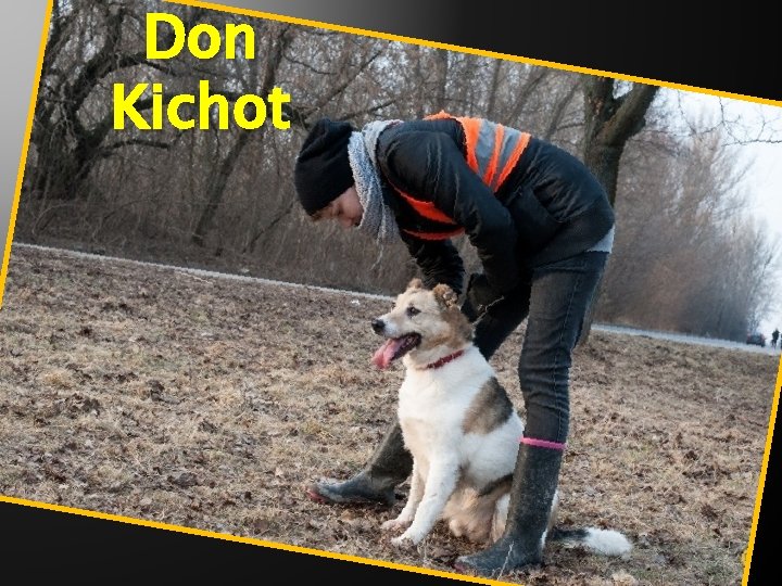 Don Kichot 