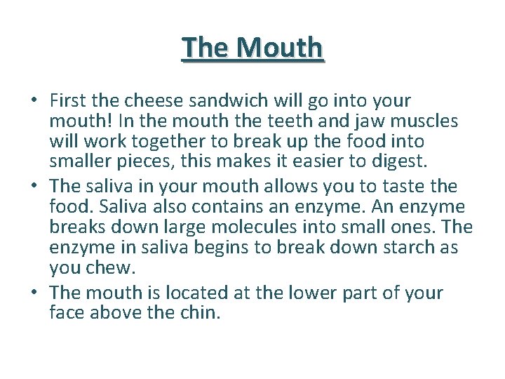 The Mouth • First the cheese sandwich will go into your mouth! In the
