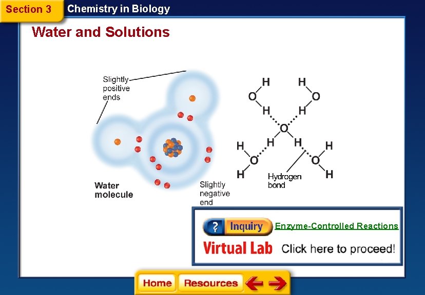 Section 3 Chemistry in Biology Water and Solutions Enzyme-Controlled Reactions 