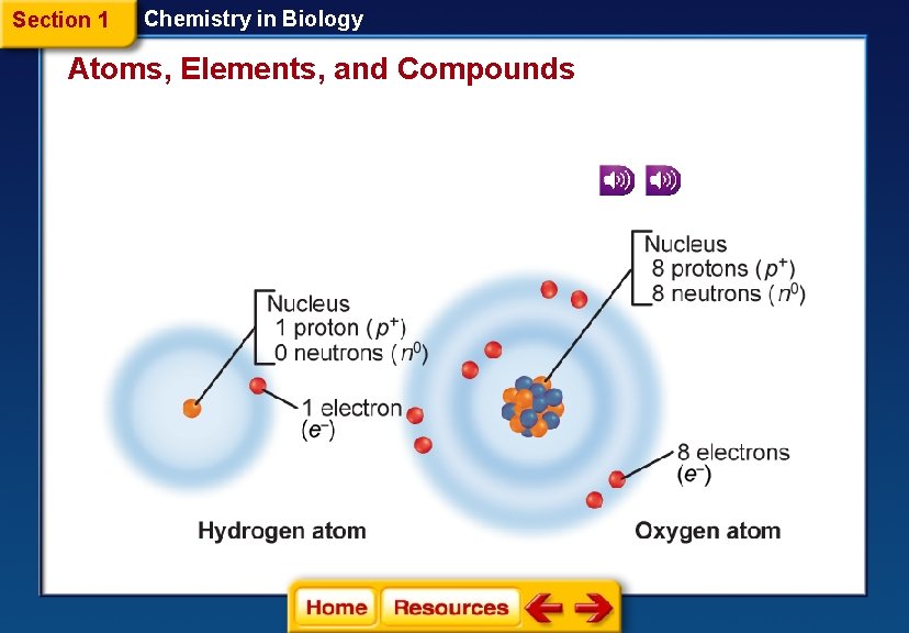 Section 1 Chemistry in Biology Atoms, Elements, and Compounds 