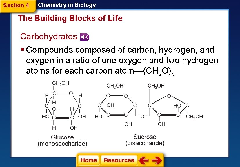 Section 4 Chemistry in Biology The Building Blocks of Life Carbohydrates § Compounds composed