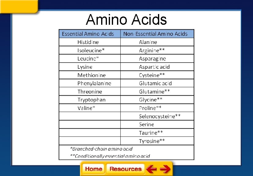 Amino Acids 