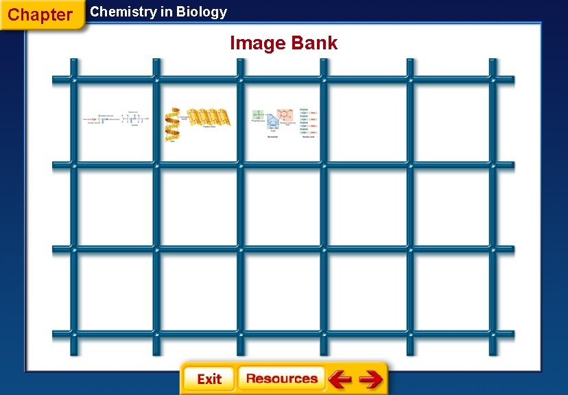 Chapter Chemistry in Biology Image Bank 