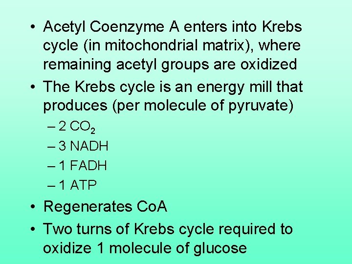  • Acetyl Coenzyme A enters into Krebs cycle (in mitochondrial matrix), where remaining