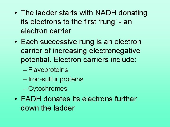  • The ladder starts with NADH donating its electrons to the first ‘rung’