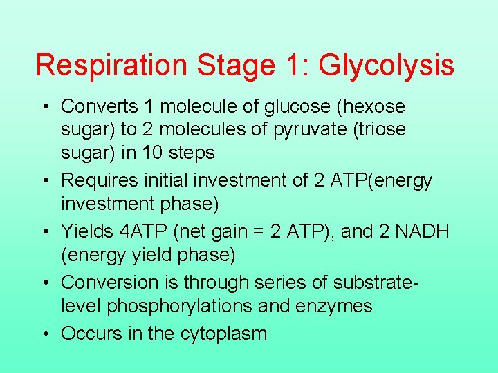 Respiration Stage 1: Glycolysis • Converts 1 molecule of glucose (hexose sugar) to 2